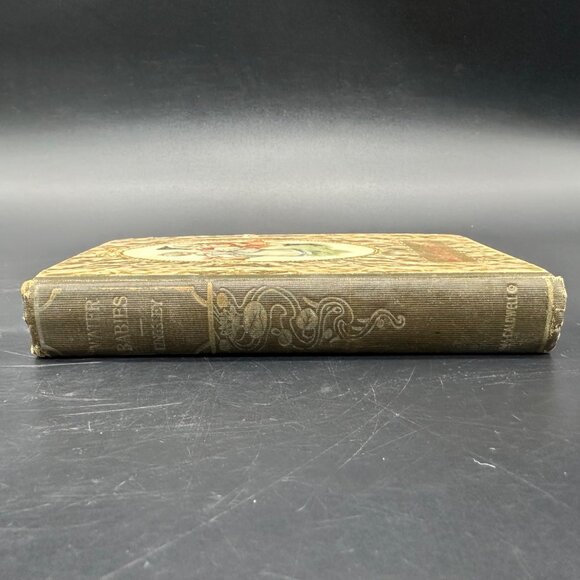 Antique Book Water Babies Charles Kingsley Fairytale Art Nouveau 1910 Hardback - Picture 3 of 15